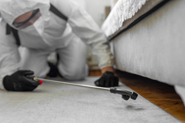 Professional Termite Control technician working in Seeley, CA