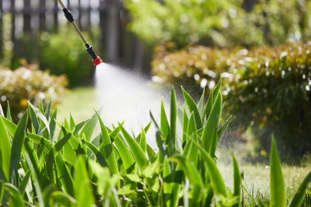 24/7 Emergency Termite Control experts in Seeley, CA